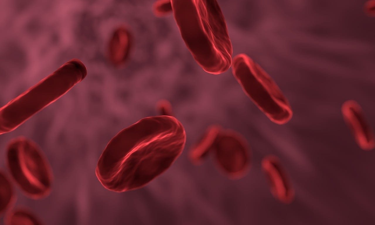red blood cells, microbiology, biology, العلاج في الهند بنغالور أفضل مستشفيات في الهند العلاج الطبي في الهند Affordable medical treatment India Best hospitals in Bangalore Medical tourism in India Specialist doctors in Bangalore Heart surgery in India Cancer treatment Bangalore Best healthcare in India Al Hadi Medical Tourism Best Doctor in Bangalore